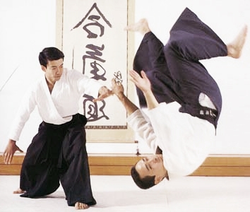 Session d'Aikido